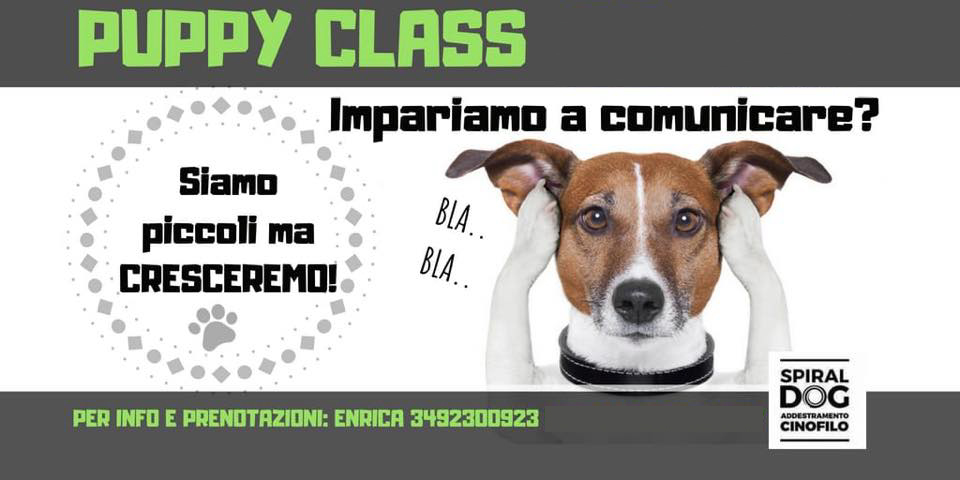 puppyclass